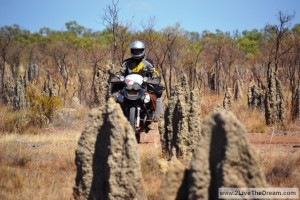 Termite mounds along the way